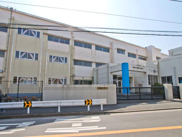 Primary school. Yokohama Municipal Sakaigi Elementary School 850m to