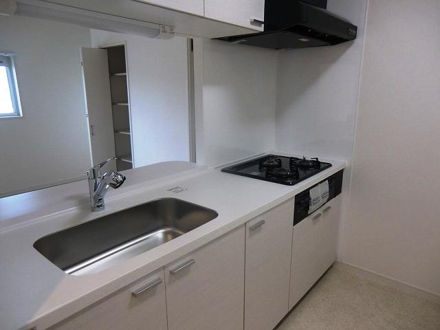 Kitchen. Indoor shooting