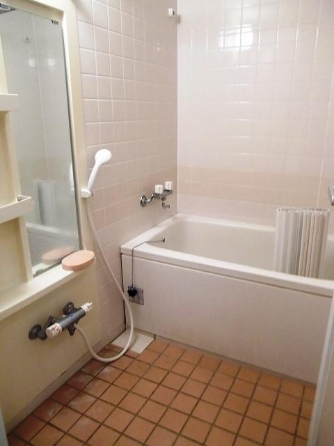 Bathroom. Indoor shooting