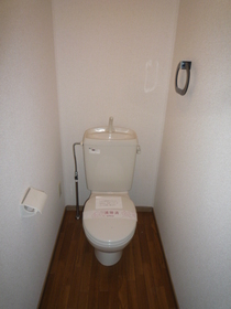 Toilet. Toilet