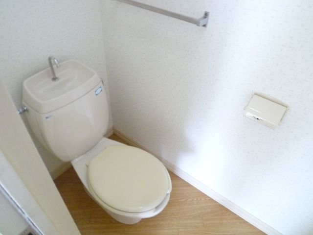 Toilet. In the hallway space there is a toilet