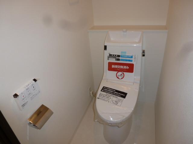 Toilet. New toilet Washlet (November 2013) Shooting
