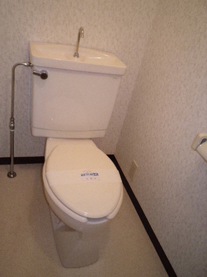 Toilet. Toilet