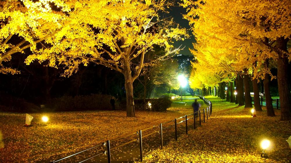 park. Until Prefectural Hodogaya Park 966m