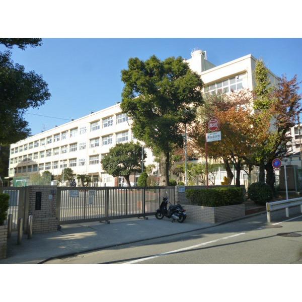 Primary school. 206m Arai elementary school to Yokohama Municipal Arai Elementary School