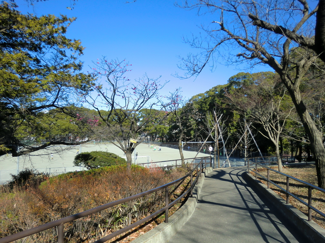 park. Tokiwa 1105m to the park (park)