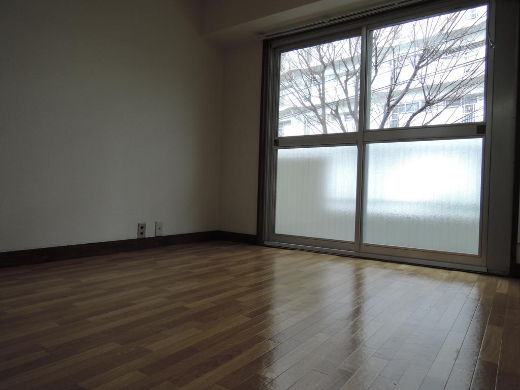 Living and room. It is shooting a rainy day! Moreover, without lighting
