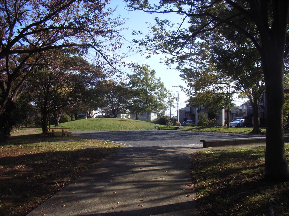 Other. Line Suwatani park