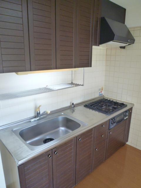 Kitchen. Indoor (12 May 2013) Shooting