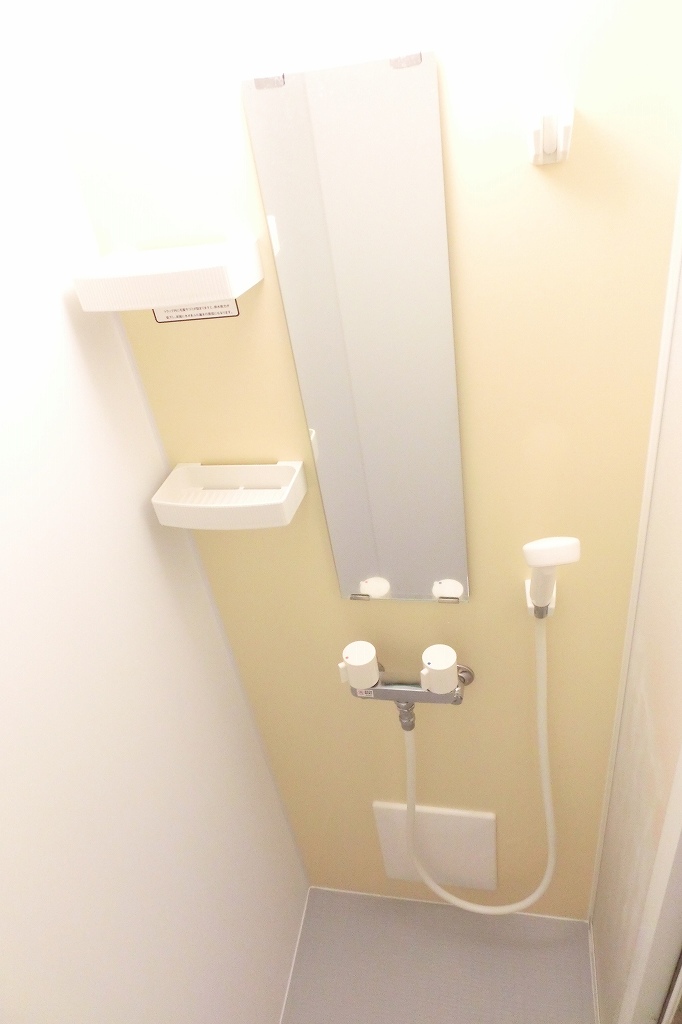 Bath. Foreign specification shower room