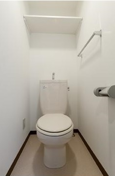Toilet. Toilet with a shelf