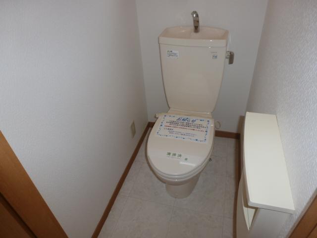 Toilet. Indoor (July 2013) Shooting