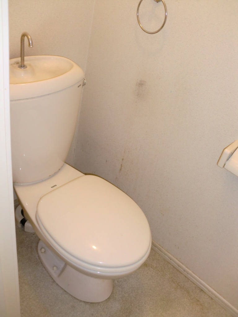 Toilet