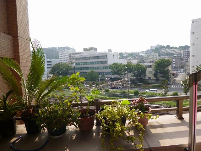 View photos from the dwelling unit. View taken from the local