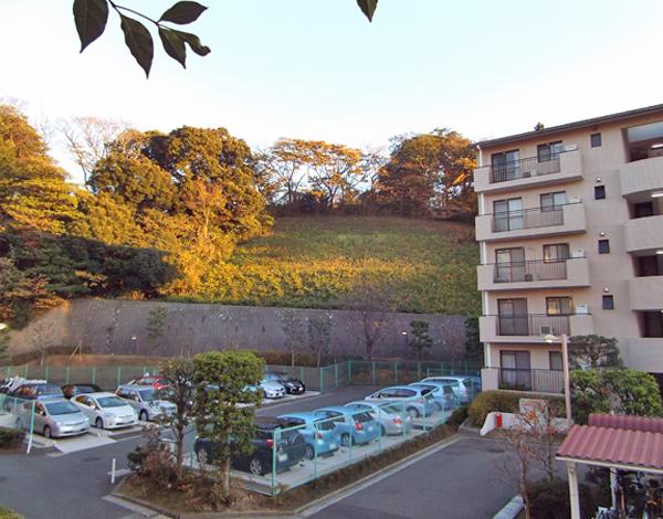 View photos from the dwelling unit. View from the dwelling unit