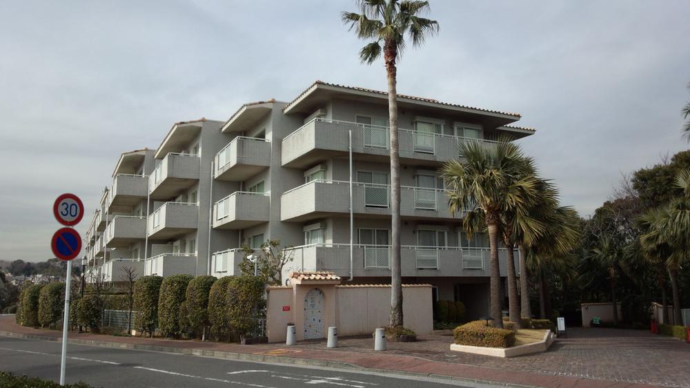 Local appearance photo. Local (February 2013) Shooting