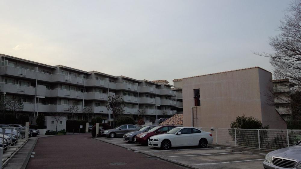 Parking lot. Common areas