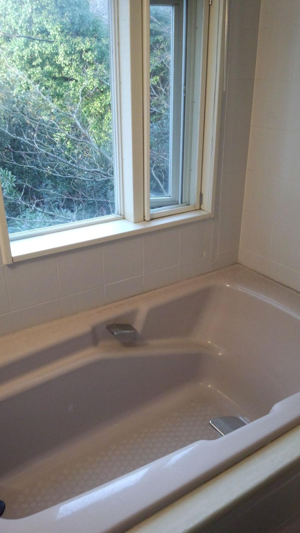 Bathroom. Local (February 2013) Shooting