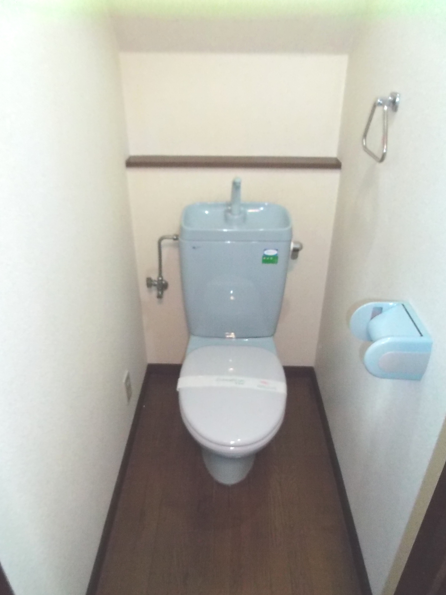 Toilet. First floor toilet