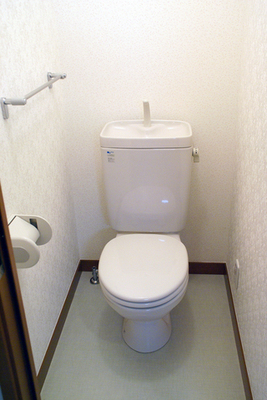 Toilet. Toilet