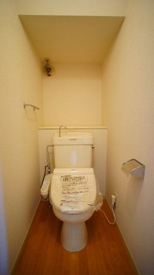 Toilet. Washlet new installation
