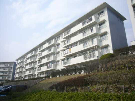 Local appearance photo. appearance