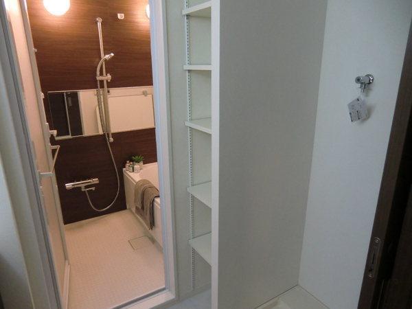 Wash basin, toilet. Interior