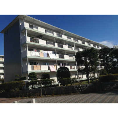 Local appearance photo. 2013 November 30, shooting