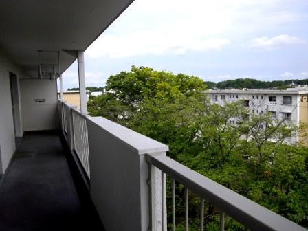 View photos from the dwelling unit. View is good