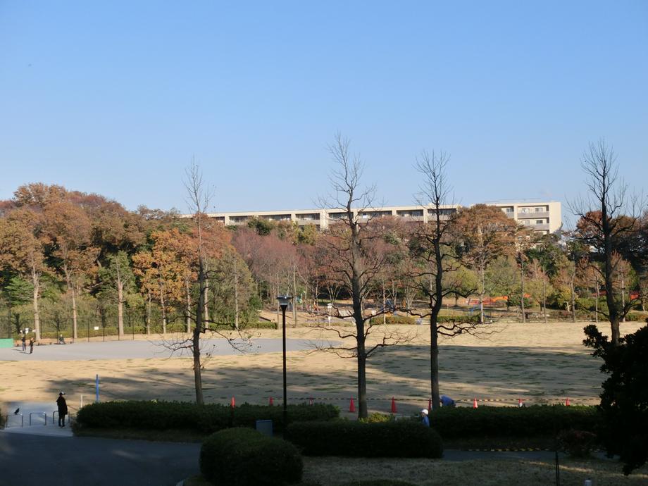 Other local. Hisayoshi 岐公 Gardens