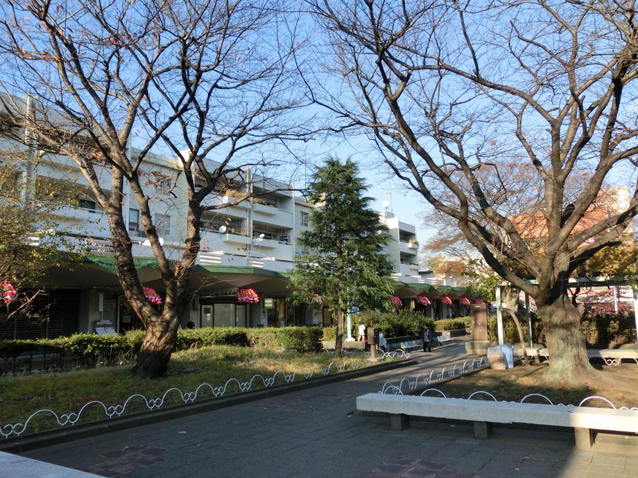 Other local. Shiomidai mall