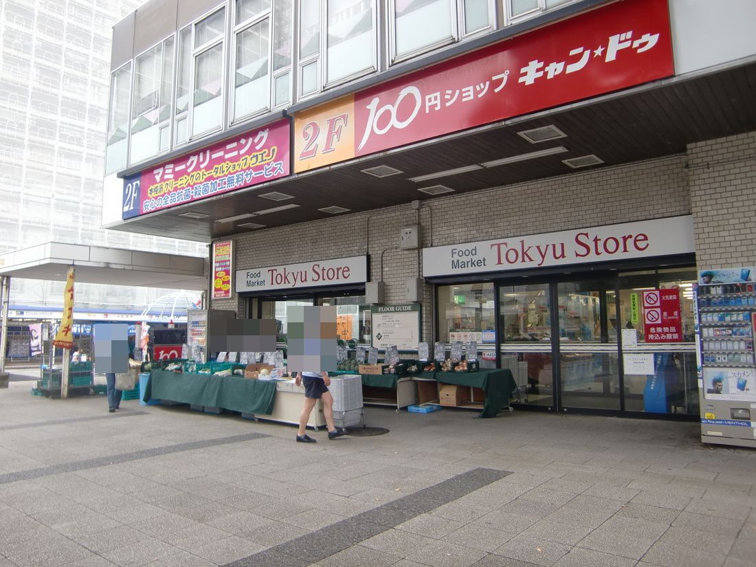 Other. Yokodai Tokyu Store Chain