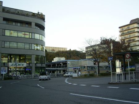 Other. Negishi Station of state