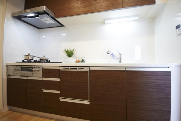 Kitchen. Indoor (09 May 2013) Shooting