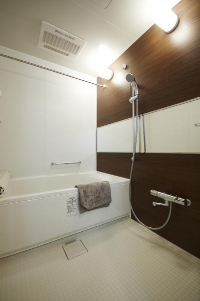 Bathroom. Indoor (09 May 2013) Shooting