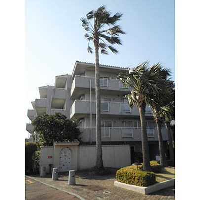 Local appearance photo. appearance