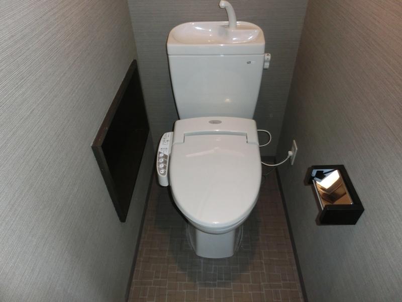 Toilet. Calm a toilet that reproduces the space
