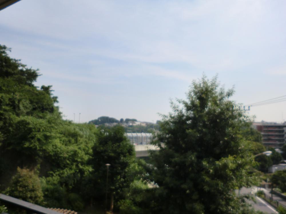 View photos from the dwelling unit. For southwestward, Sunny