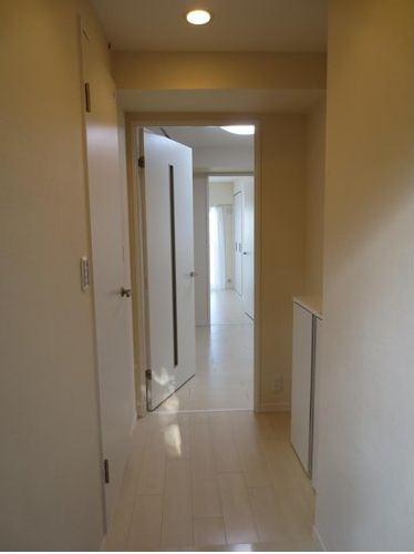 Other introspection. Interior ・ Corridor part