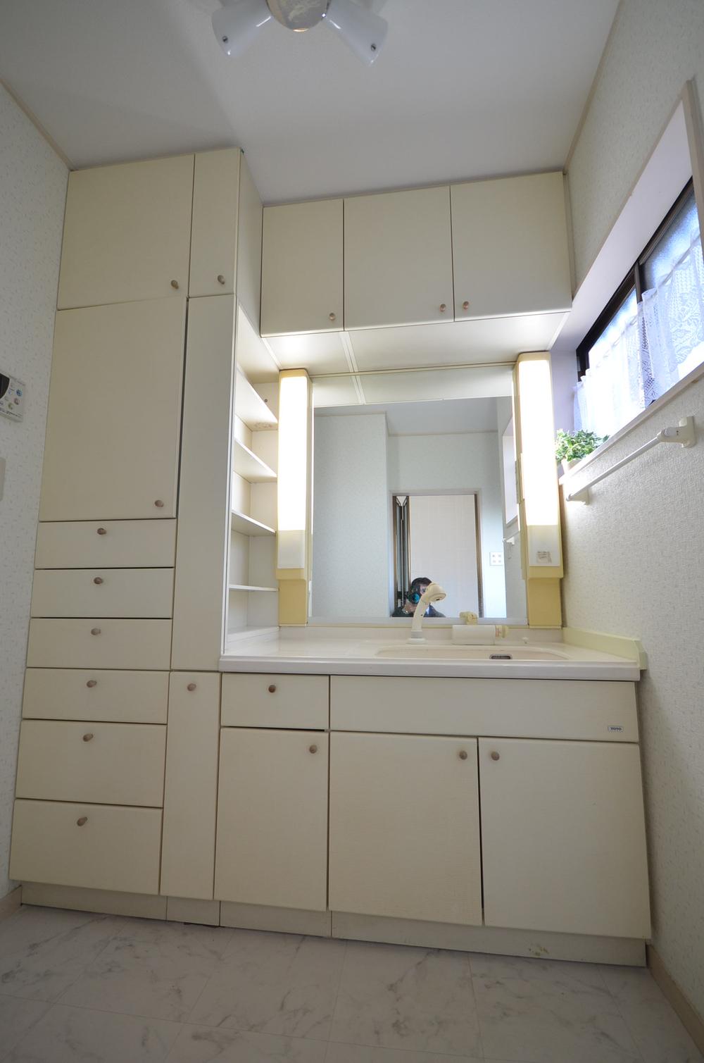 Wash basin, toilet. Bathroom vanity