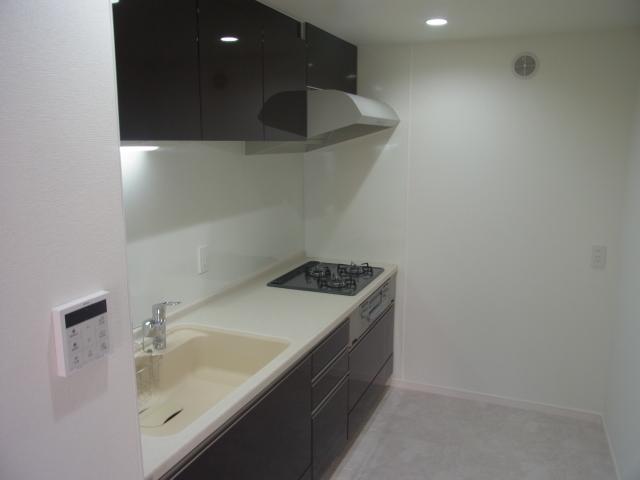 Kitchen. New replaced.! Is a water purifier built-in shower faucet. It is easy to artificial marble top of Care!