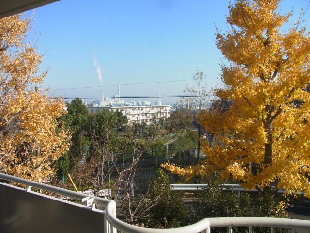 Balcony. View from the balcony! I hope Tokyo Bay!
