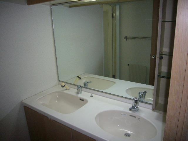 Wash basin, toilet. Vanity (June 2012) shooting