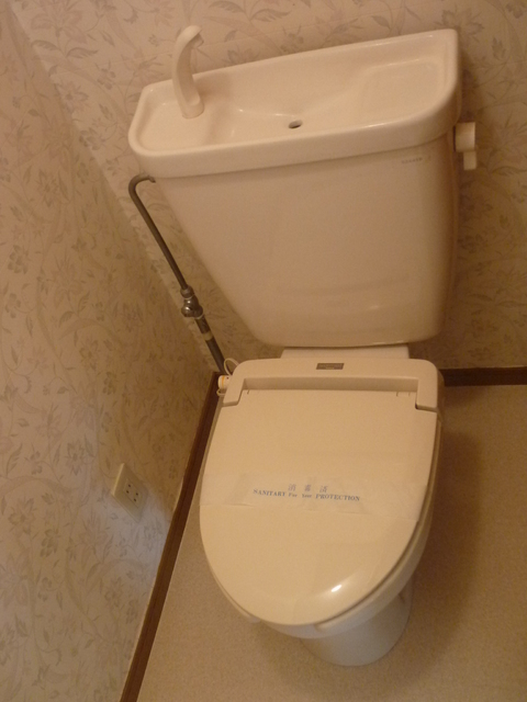 Toilet. Toilet