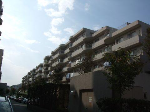 Other local. Local (12 May 2012) shooting