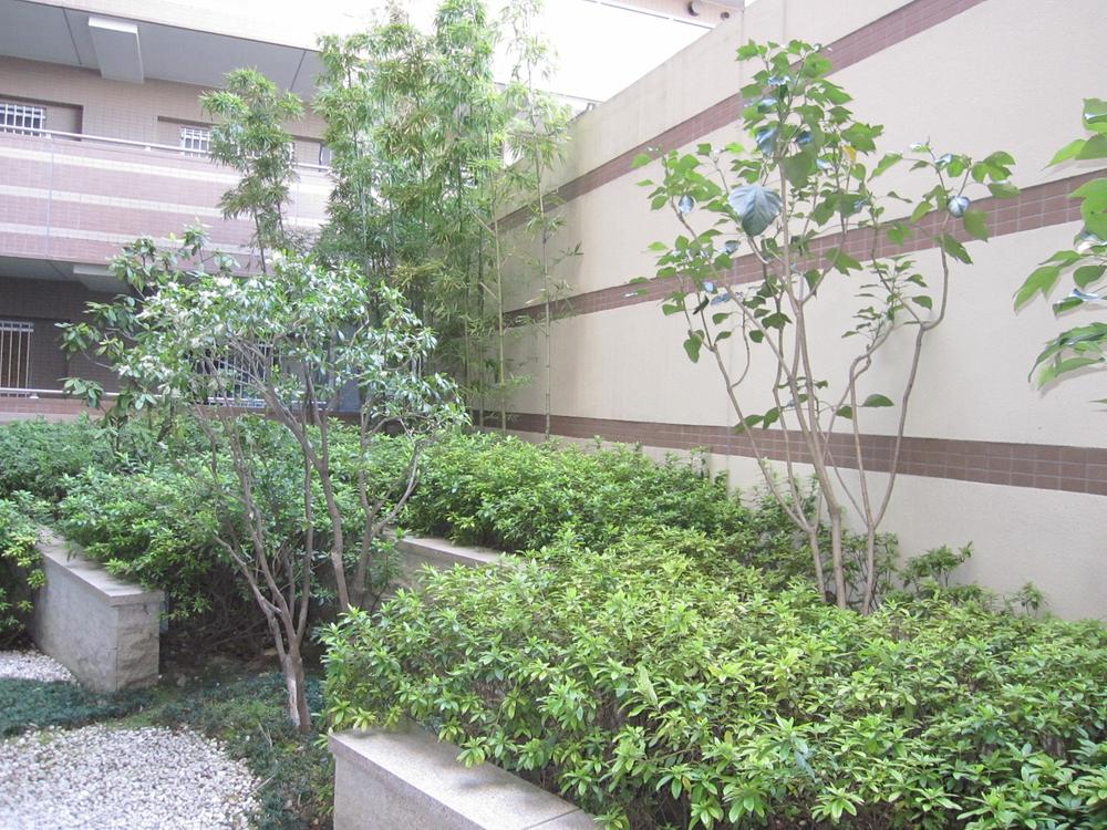 Other common areas. Incorporating a lot of green was, On-site courtyard.