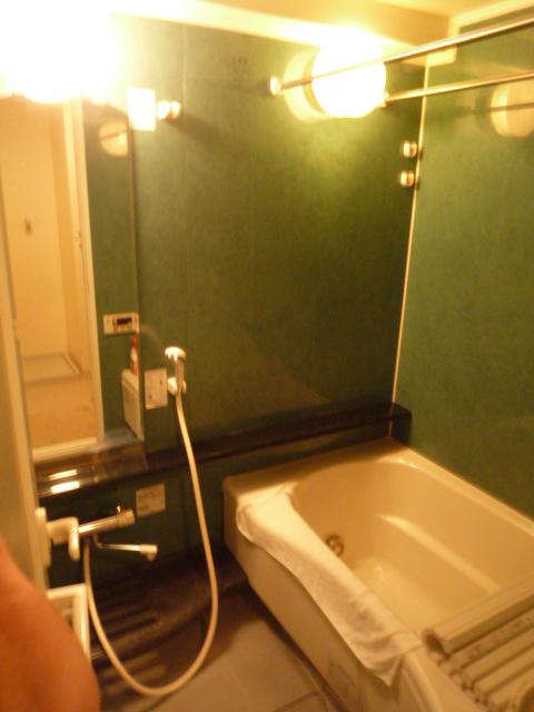 Bathroom. Full Otobasu