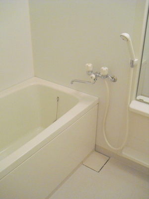 Bath. Bathroom with add-fired function