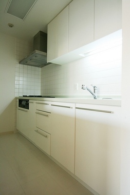 Kitchen. System kitchen