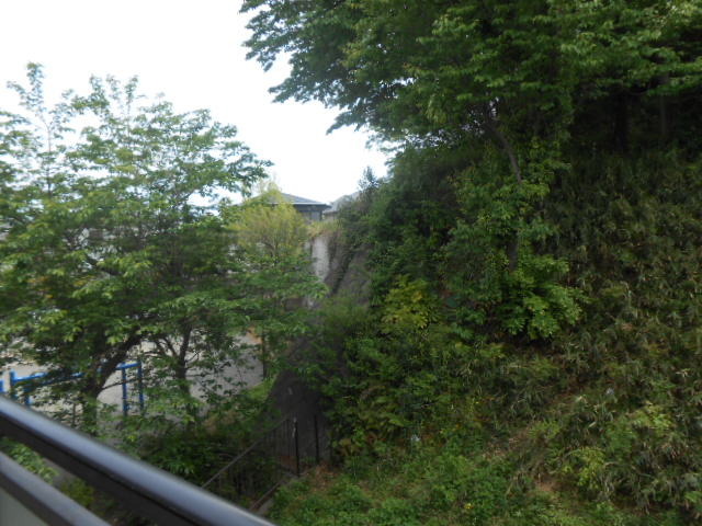 View. Scenery